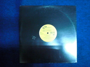 レコード　Cutting PAMELA FERNANDEZ LP　（2309）