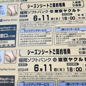 ソフトバンクホークス・6/11(木)入場引換券２枚