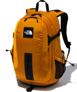 「THE NORTH FACE」 リュック 28L ブラウン メンズ_画像1