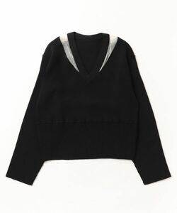 「Ray BEAMS」 Vネックニット ONE SIZE ブラック レディース