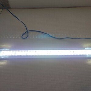 KOTOBUKIコトブキ 水槽用LED照明 フラットLED600 60cm水槽用 アクアリウムの画像9