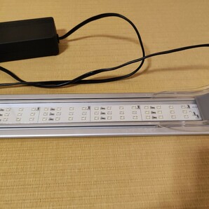 KOTOBUKIコトブキ 水槽用LED照明 フラットLED600 60cm水槽用 アクアリウムの画像4