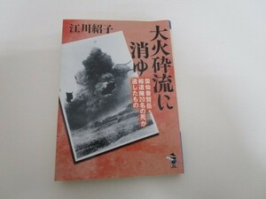 大火砕流に消ゆ: 雲仙普賢岳・報道陣20名の死が遺したもの (新風舎文庫 え 104) no0605 D-9