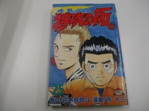 疾風伝説特攻の拓 25 (少年マガジンコミックス) no0605 D-12