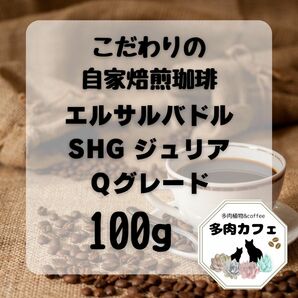 自家焙煎珈琲　エルサルバドル　300g