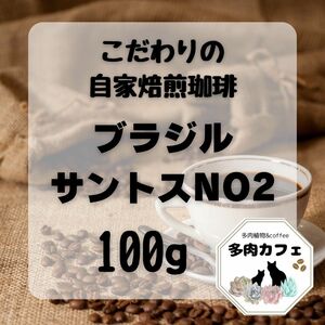 自家焙煎珈琲　ブラジルサントスNO2 300g