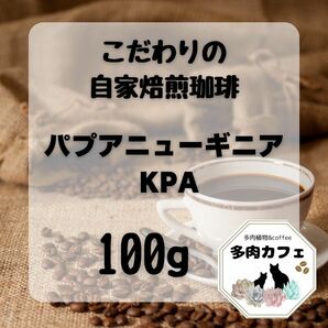 自家焙煎珈琲　KPA 300g