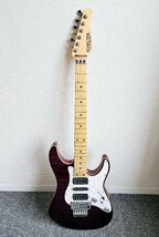 SCHECTER GUITAR RESEARCH シェクター エレキギター SD-2-24 楽器_画像1