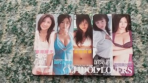  weekly Young Jump WEEKLY YOUNG JUMP YJ IDOL LOVERS QUO card QUO card 500 [ free shipping ]