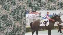 競馬　ラスカルシチー＆木幡初広 騎手　私の愛馬　友駿ホースクラブ　ＱＵＯカード　クオカード　５００　【送料無料】 _画像6