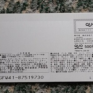 山本彩 Yamamoto Sayaka ＥＮＴＡＭＥ エンタメ ＱＵＯカード クオカード ５００ 【送料無料】の画像9