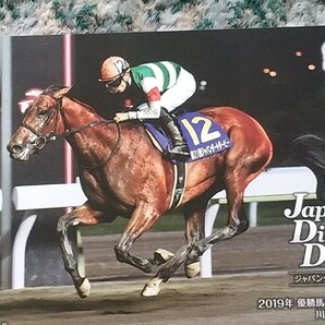 競馬 クリソベリル Chrysoberyl ジャパンダートダービー Japan Dirt Derby 2019年 優勝馬 ＱＵＯカード クオカード ５００ 【送料無料】の画像3