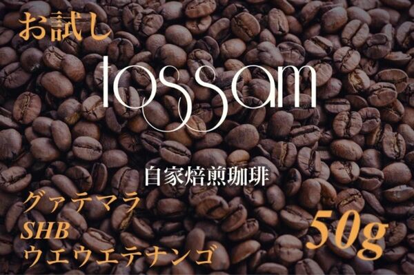 お試し 自家焙煎 珈琲豆 50g グァテマラ SHB ウエウエテナンゴ地区