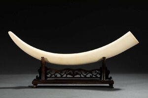 【善古堂】某有名オークション買入 時代物 特種白材 豪華一本置物73CM/2.6Kg 最高級白さ 骨董品 古美術0418-31