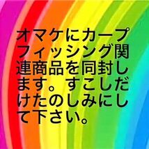 カープフィッシング ボイリー 釣具 フィッシング ニードル ボイリーストッパー セット 鯉釣り カープ 鯉_画像3