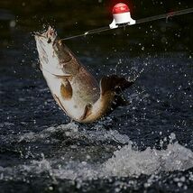 釣り竿アラーム | 4 個の夜集魚灯高感度でポータブル,釣り具、夜釣り小物、夜用集魚灯、あらゆる釣りシーンに対応_画像2