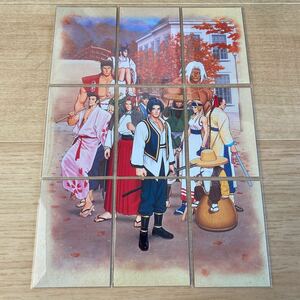 月華の剣士 カードコレクション SNKトレーディングカード パズルカード 全9種 一条あかり 雪 Neogeo ゲーム アニメ カードダス 並上品