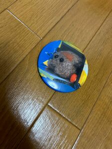 PUIPUIモルカー テディ 缶バッジ