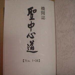 聖中心道 肥田春充 限定本の画像3