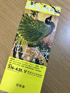 招待券「池上秀畝　高精細画人」　2024.3.16〜4.21　練馬区立美術館　1枚