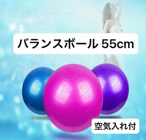 空気入れ付　バランスボール ジム ヨガ フィットネス 55cm ストレッチ　 体幹トレーニング　 ダイエット器具