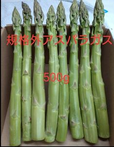 会津産アスパラガス 規格外500g