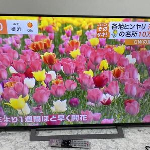 j682 東芝 TOSHIBA 55型 テレビ 2020年製 55M530X 4Kの画像1