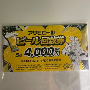 2024年paypayドームアサヒビール回数券　ソフトバンクホークス　売り子