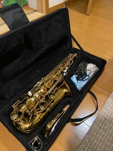 Eastar アルトサックス E Saxophone ゴールドラッカー サクソフォン ケース付き お手入れセット 