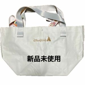 香港ディズニー限定バッグ　未使用ダッフィー