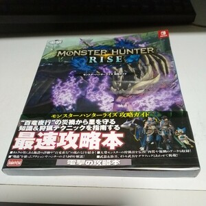 送料無料　ゲーム攻略本　ニンテンドースイッチ　SWITCH　モンスターハンターライズ 攻略ガイド　中古　2021年　大判