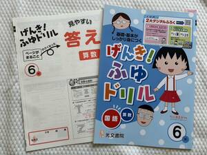 4359　小学６年生　げんき！ふゆドリル　国語　算数　光文書院　解答付