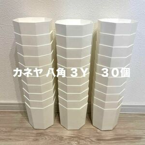 新品未使用 カネヤ 八角鉢 プラスチック鉢 3Y 3号 30個