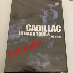 廃盤　キャディラック ライブ　DVD ロカビリー　クリームソーダ　ピンクドラゴン　キャデラック　CADILLAC LIVE DVD