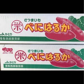 自信あります！JAかとり千葉産 紅はるか 秀品！約10キロ2ケース　品質甘さ最高品！