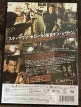 ■セル版■沈黙の聖戦 洋画 映画 DVD CL-1396 スティーヴン・セガール/バイロン・マン/モニカ・ロウ/トム・ウー/ヴィンセント・リオッタ_画像2