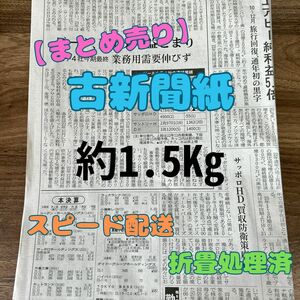 【まとめ売り】古新聞約1.5Kg