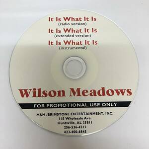 裸21 HIPHOP,R&B WILSON MEADOWS - IT IS WHAT IT IS INST,シングル,PROMO盤 CD 中古品