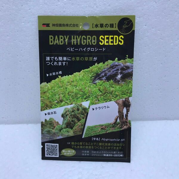 未使用　神畑　ベビーハイグロシード　水草の種　水草の草原　BABY HYGRO SEEDS カミハタ　訳あり品