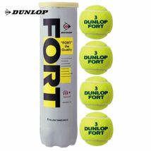 ☆「送料無料」　ダンロップ フォート(DUNLOP FORT)　新品未開封4個入り×15缶 　最新商品！！ _画像2