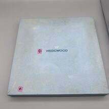 レア【送料無料】WEDGWOOD/正規品/新品未使用/ストロベリー＆バイン/プレート/1枚/皿/大皿/(719)_画像8