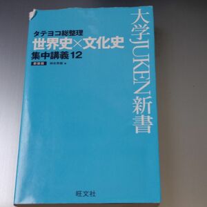 タテヨコ総整理世界史×文化史集中講義１２　新装版 （大学ＪＵＫＥＮ新書） 神余秀樹／著