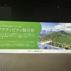 日本駐車場開発 株主優待券 アクティビティ割引券 1枚（2024年1月期期末） 【送料63円】の画像1