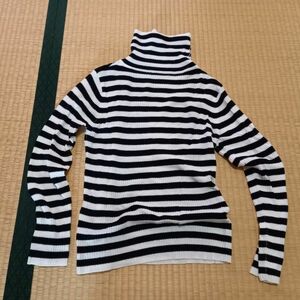 レディース服　ストライプタートルネックニット