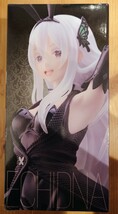 定形外350円Re:ゼロから始める異世界生活Coreful フィギュア エキドナ バニーver. Re:Zero figure Rem Ramjapan anime Echidna Bunny レム_画像8