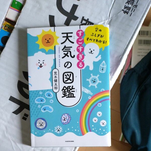 すごすぎる天気の図鑑　空のふしぎがすべてわかる！ （空のふしぎがすべてわかる！） 荒木健太郎／著