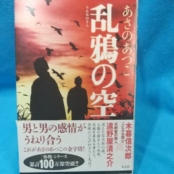 乱鴉の空 あさのあつこ／著 （978-4-334-91481-3）