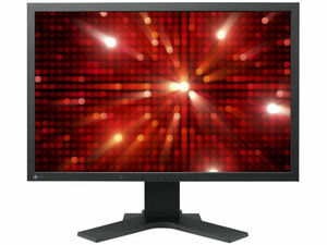 T3727 EIZO FlexScan S2242W 22インチワイド液晶ディスプレイ WUXGA(1920x1200)