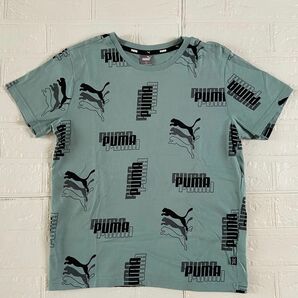 プーマ　PUMA Tシャツ　150