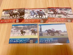 【非売品レア】JRA函館札幌競馬場メモリアルレースカードカレンチャンソダシテイエムオーシャンドリームバレンチノメリーナイス5点セット